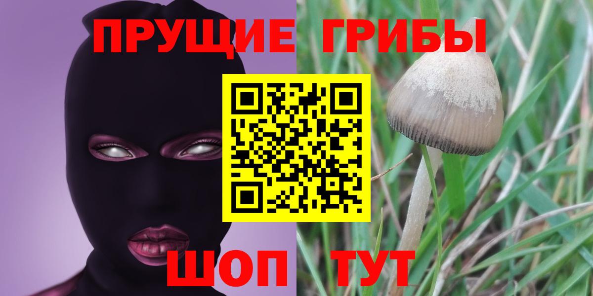 Галлюциногенные грибы мухоморы Шахты